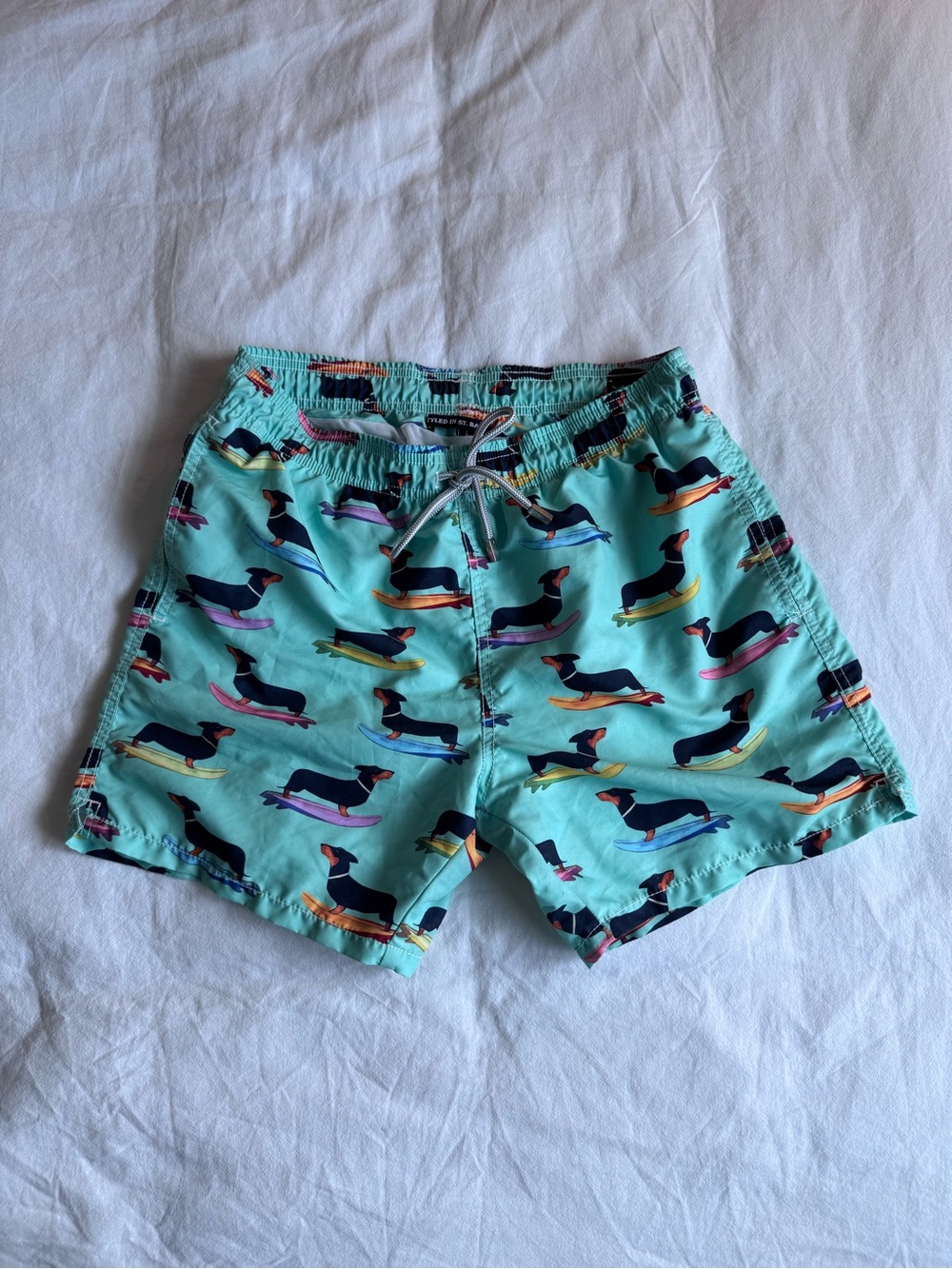 MC2 Saint Barth Aqua Swim Trunks with Multicolor Dachshund Surf Print